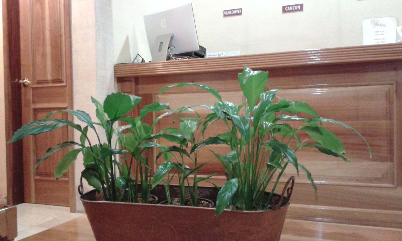 Cancun International Suites Экстерьер фото
